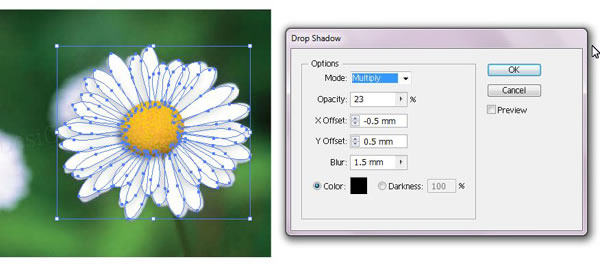 参照花朵照片使用Illustrator绘制一束漂亮的花卉