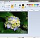 Windows7系统中画图在调整图片大小方面的技巧